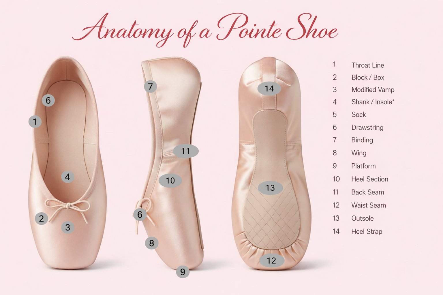 Pointe Shoe Buying Guide 2026 | How to Choose the Best Pointe Shoes ...