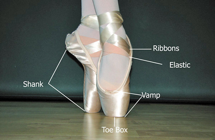 Anatomy of a Pointe Shoe