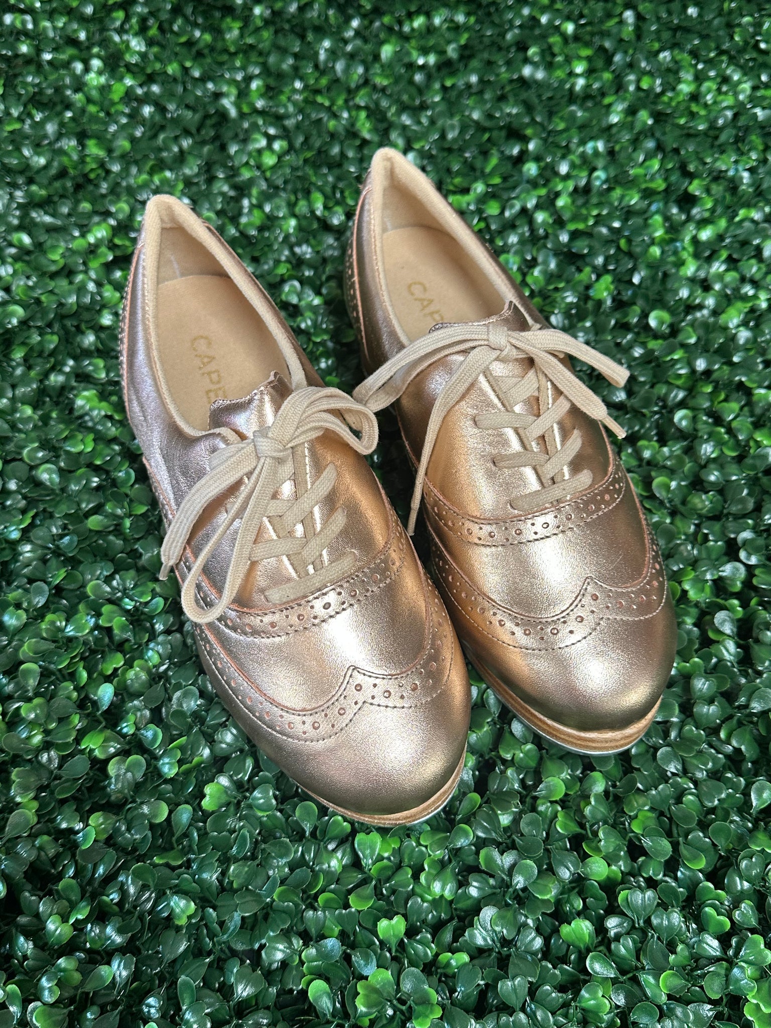 AVAILABLE NOW - LIMITED Edition GOLD - Capezio Roxy Tap Shoe